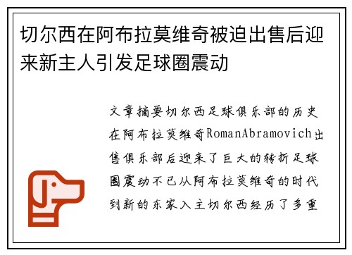 切尔西在阿布拉莫维奇被迫出售后迎来新主人引发足球圈震动